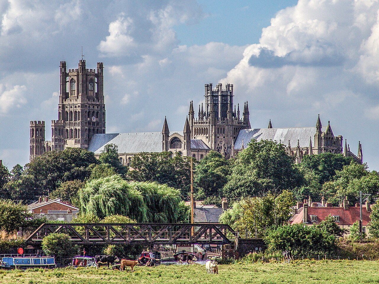 Ely Cathedral above the trees with cattle grazing by the river, where J Mould carries out demolition